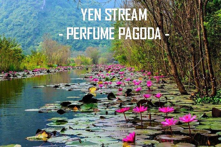 Perfume Pagoda Full day Private tour