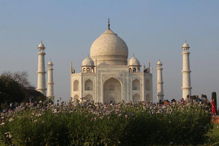 Taj Mahal Tour from Delhi with 5* Lunch