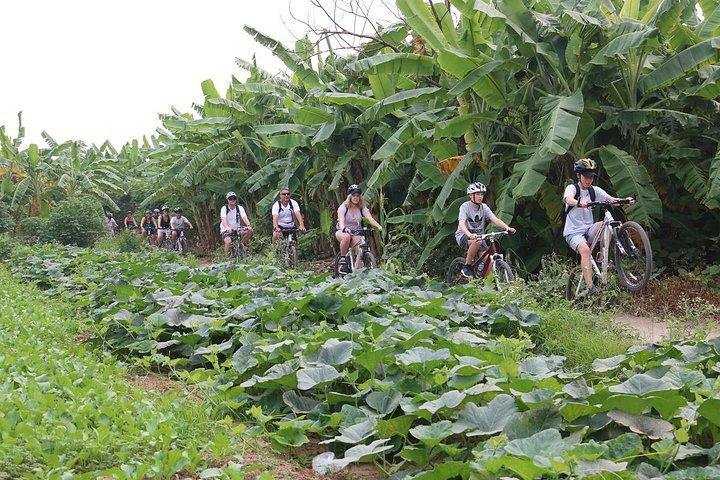 Half-Day Bicycle Tour Combine City & Countryside + Train Street