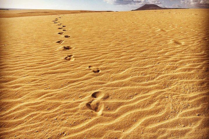Fuerteventura North Exclusive Tour