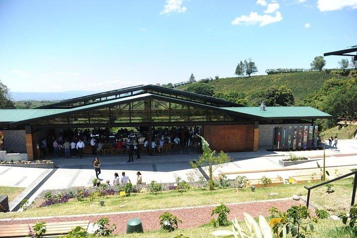 Hacienda Alsacia Starbucks Coffe Tour