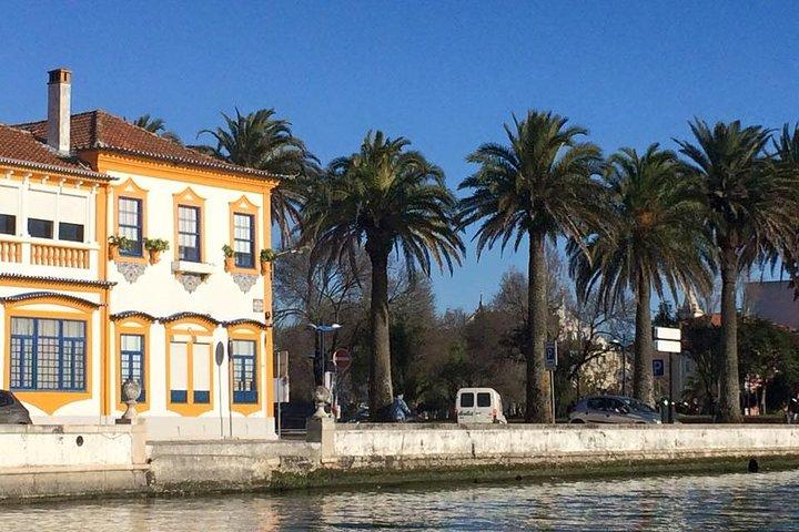 Private tour Aveiro & Coimbra + Moliceiro Tour