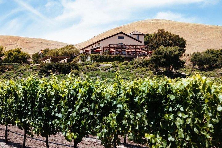 From SF:Sonoma & Napa -8hr Private Wine Tour with Concierge.XLSUV