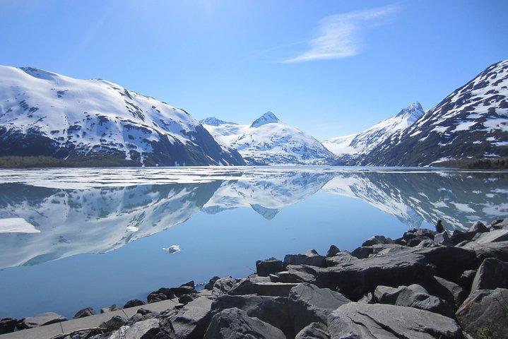 Wildlife and Glaciers with a walk in the Rainforest