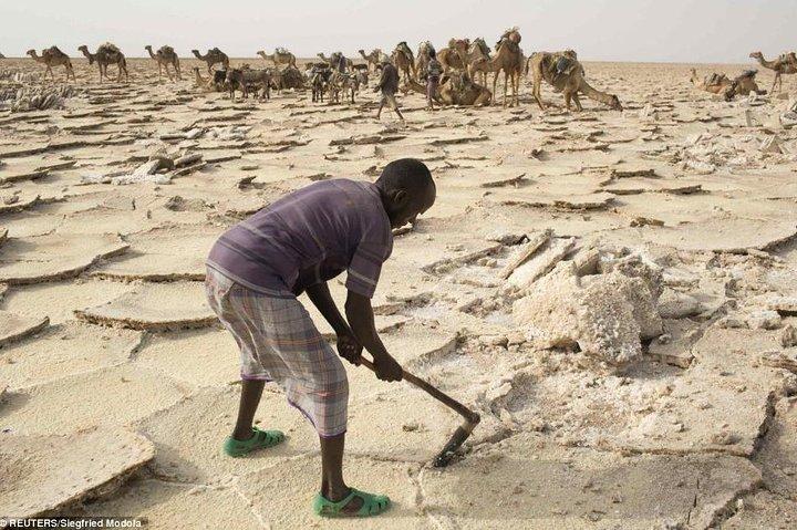 Ethiopian Tours To Danakil Depression & North With Omo Valley Tribes 15 Days