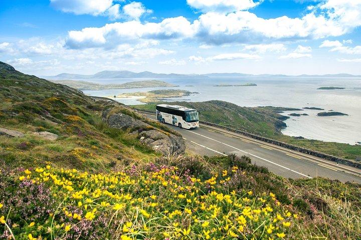Killarney Super Saver: Dingle and Slea Head Day Trip plus Ring of Kerry and Killarney Lakes Day Trip