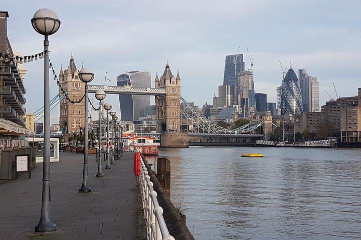 Private Driver Guided Tour of London