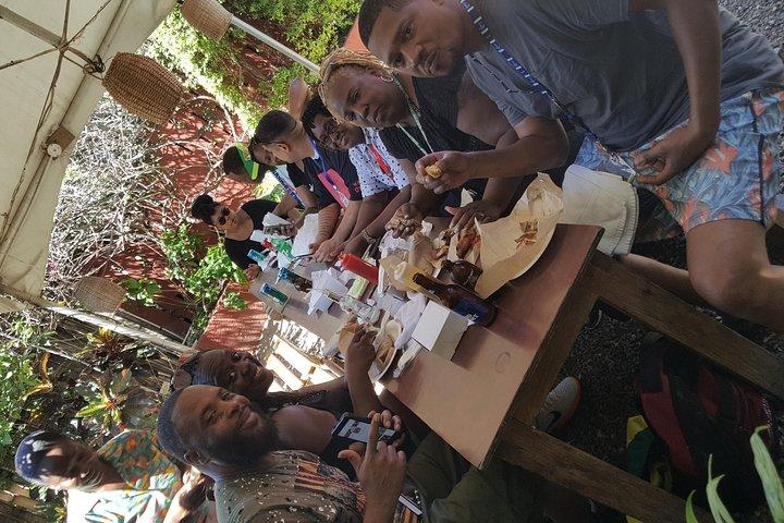 Ocho Rios For A Day / Private Customizable Tours / Jamaica Dream Vacation
