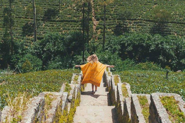 Kandy & Nuwara Eliya | 2 Days Tour