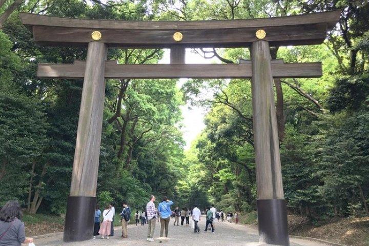 Private Tokyo Custom Walking Tour with a water bus ride