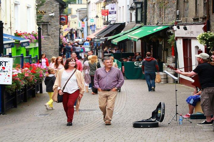 Kilkenny, Wicklow and Glendalough Sheepdog Trials from Dublin
