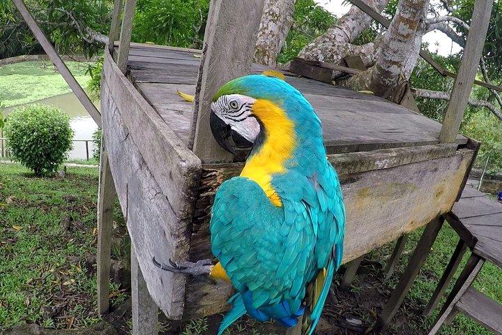 Native Aquatic Species, Jungle Hike & Animal Rescue Center -All tickets included