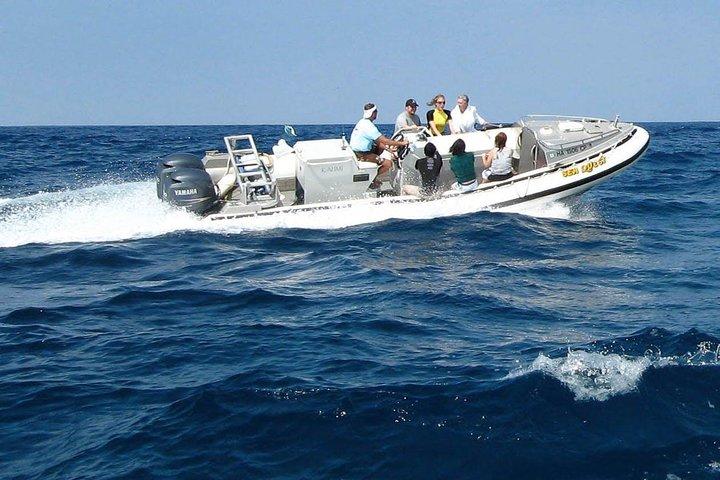 Kealakekua Bay Captain Cook Snorkel Exclusive
