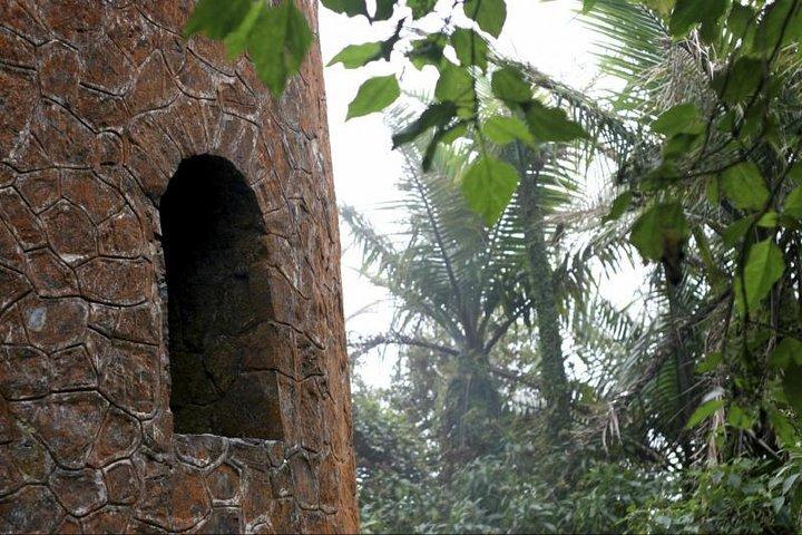 Discover El Yunque National Park: Half-Day Rainforest Tour
