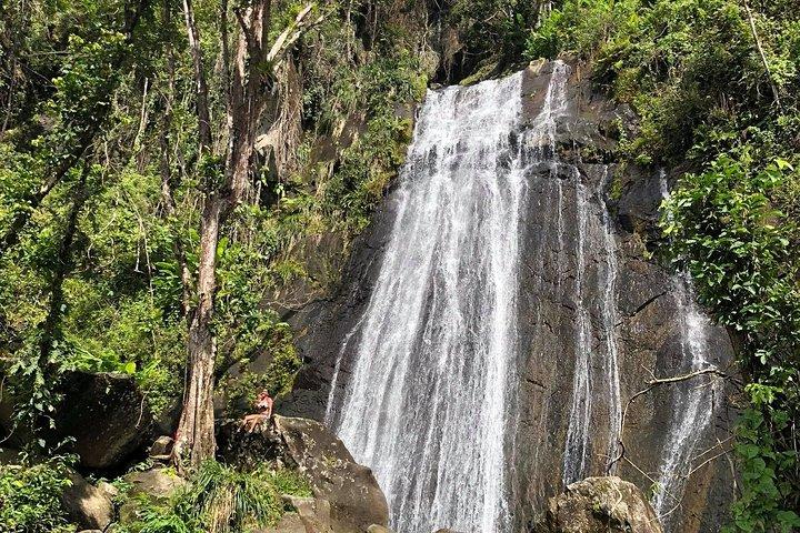 Discover El Yunque National Park: Half-Day Rainforest Tour