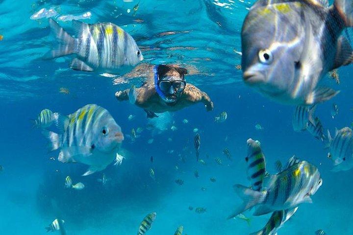 Isla Mujeres Catamaran Adventure All Inclusive from Cancun