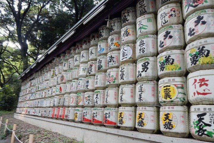 Private Tokyo Custom Walking Tour with a water bus ride