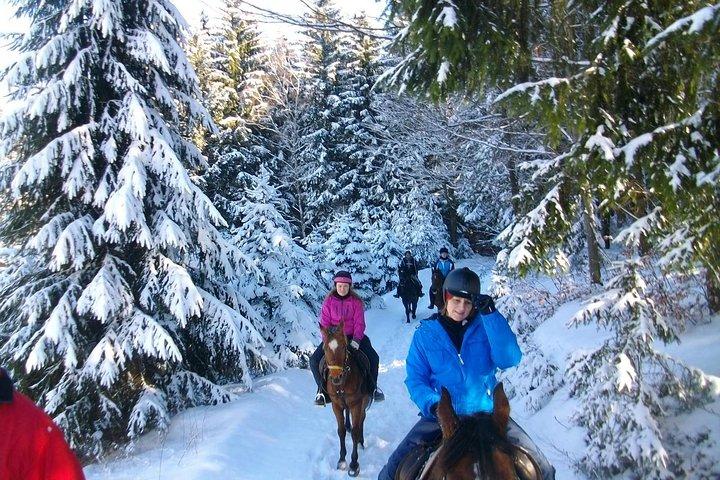 Horse Riding in Bled