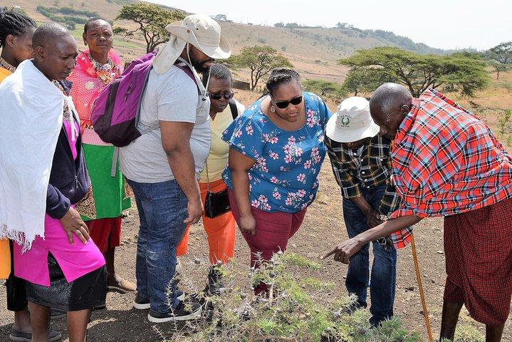 Maasai Cultural and Eco Tour
