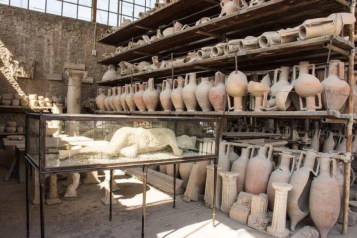 Discover Pompeii: Amazing Day Trip from Rome by High-Speed Train