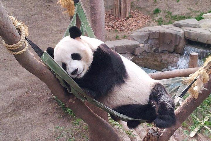 EVERLAND "From Hotel to Hotel" [Premium Private Tour: Only One Group for You]