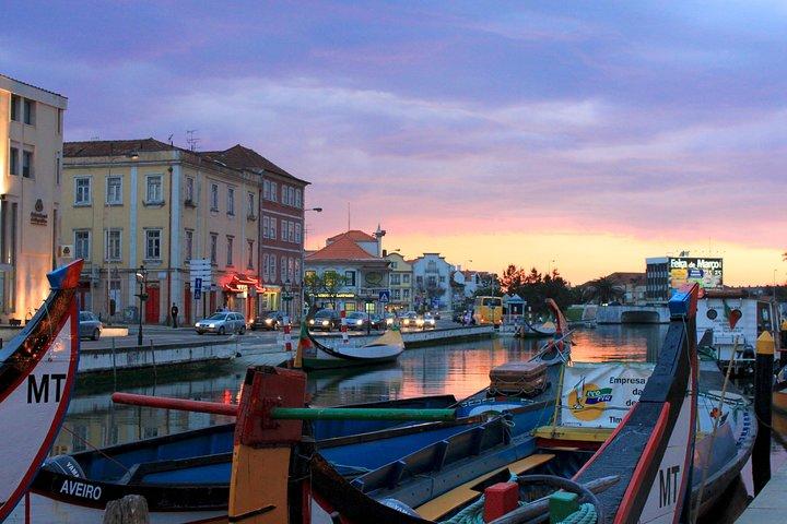 Aveiro, Costa Nova and Coimbra Private Tour From Porto