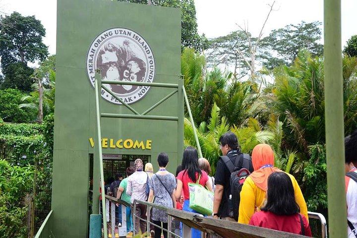 Orang Utan Island and Perak Tong Cave Temple Day Tour from Kuala Lumpur