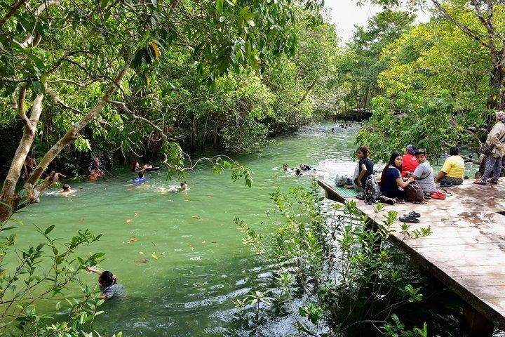 1 Day Khao Sok Jungle Safari and 2 Days Cheow Lan Lake Explorer from Krabi