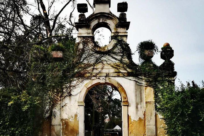 Aveiro, Costa Nova and Coimbra Private Tour From Porto
