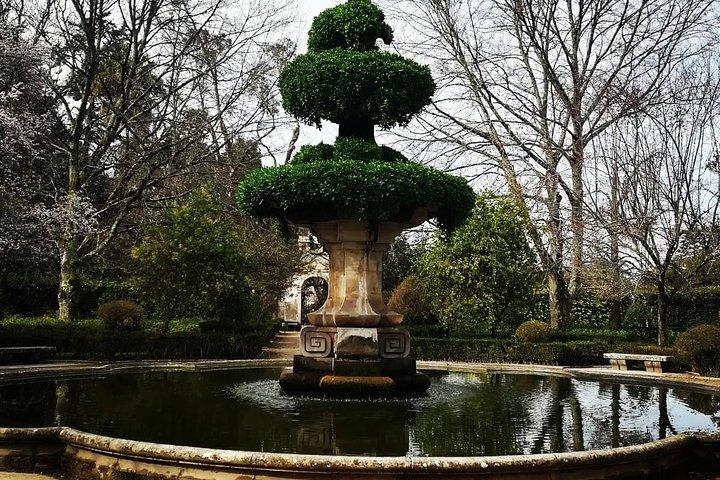Aveiro, Costa Nova and Coimbra Private Tour From Porto