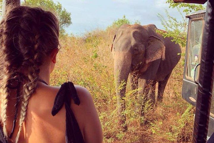 Day Excursions to Udawalawe From Wadduwa