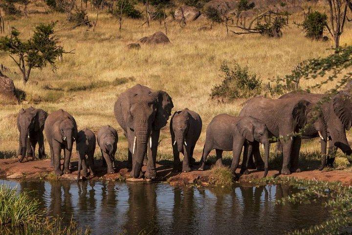 2-Days Safari Tarangire Park and Ngorongoro Crater