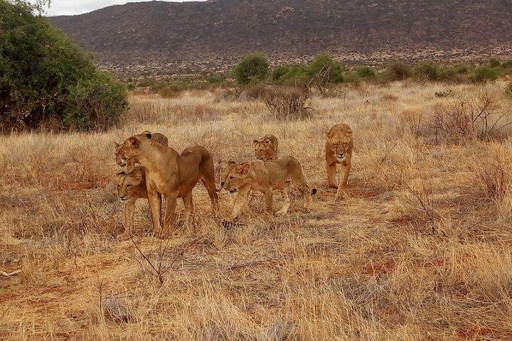 Lake Nakuru National park day trip