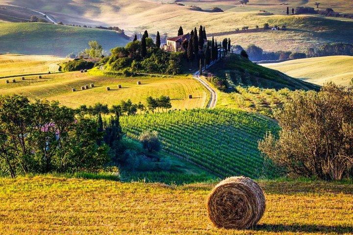 Rome to Florence Private Transfer and Tour