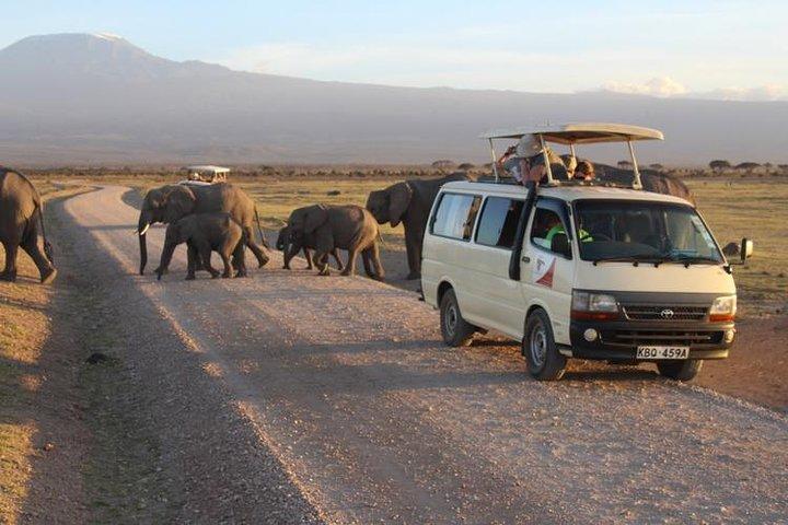 5-Days Best Wildlife Safari: Amboseli & Tsavo West National Park Private Safari