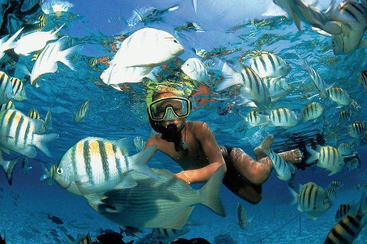 All Inclusive Caribbean adventure, reef snorkeling, Food & Drinks