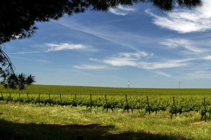 Half Day Private Tour - Evora World Heritage