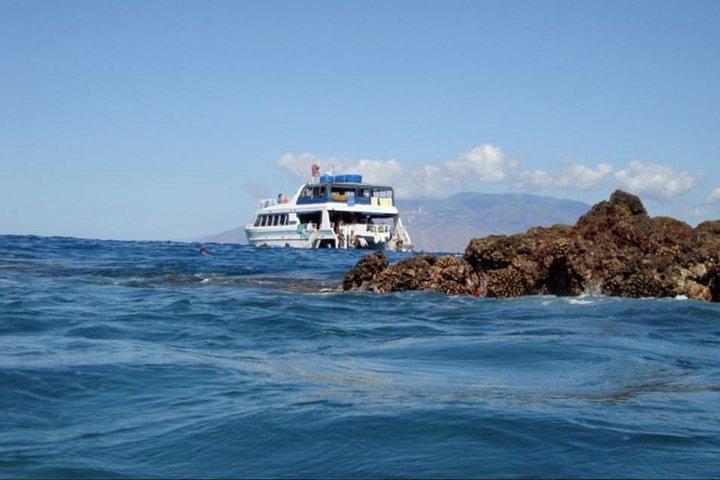 Maui Whale Watching Tour Aboard the Quicksilver From Maalaea