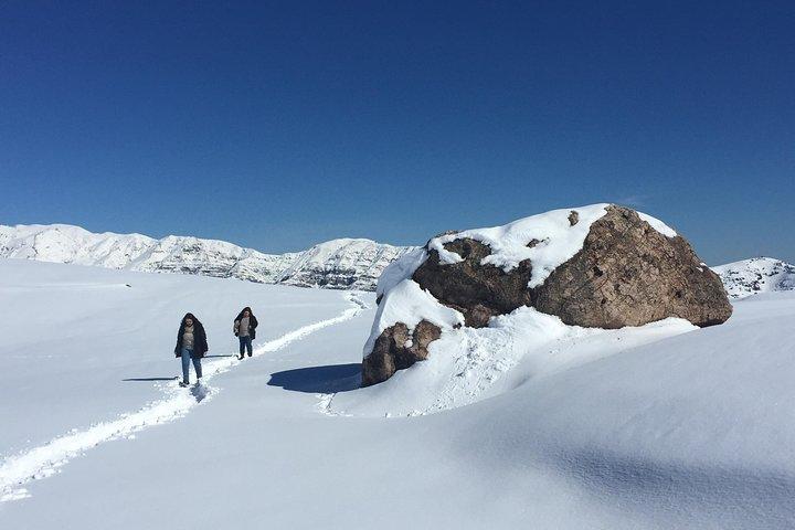 Andean Tour