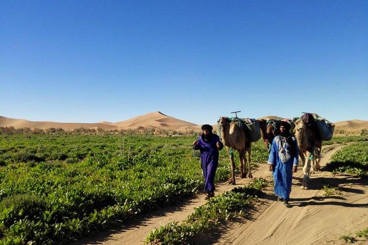 4 Days Trekking To The Heart Of Desert