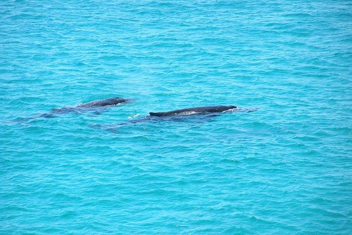 Stradbroke Island 4WD Day Trip from Brisbane