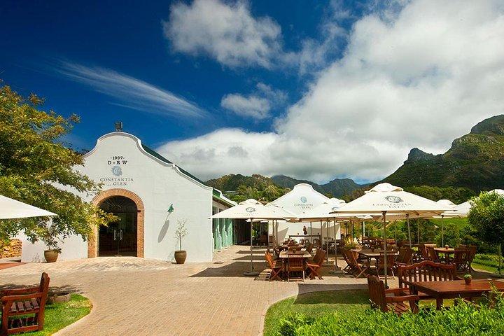 Cape Town: Winelands Private Half Day Tour
