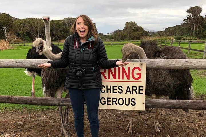 Private Day Tour to Cape Point , Penguins, Wine or Beer Tasting