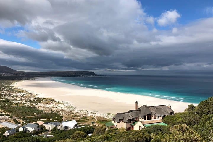 Private Day Tour to Cape Point , Penguins, Wine or Beer Tasting