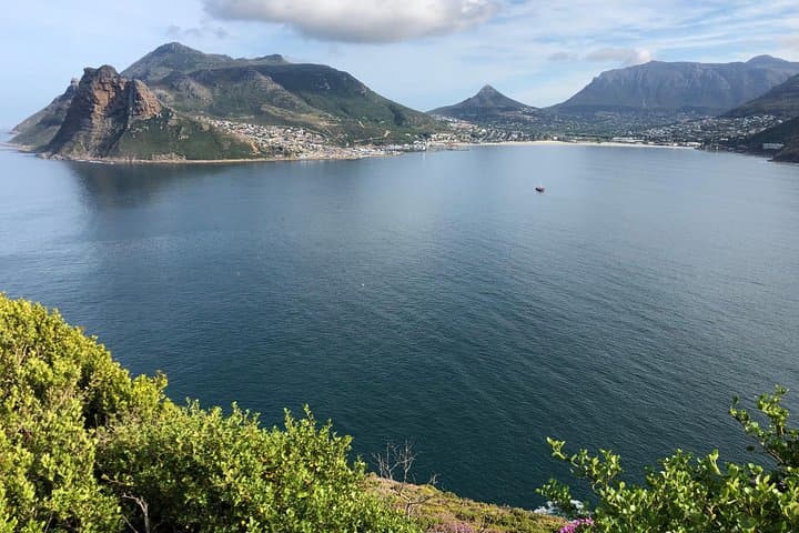Private Day Tour to Cape Point , Penguins, Wine or Beer Tasting