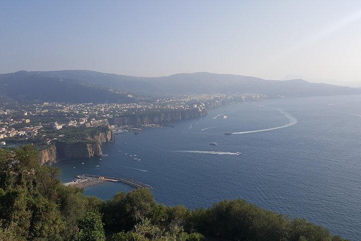 Full day tour to Pompei with guide, Sorrento,Positano from Napoli/Salerno/Amalfi