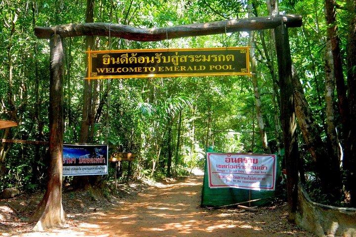 Half-Day Jungle Tour Including Crystal Pool and Krabi Hot Springs