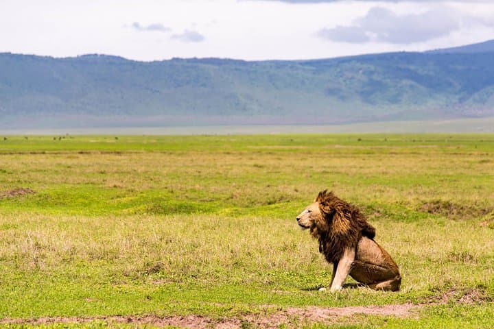 Day tour to Amboseli national park