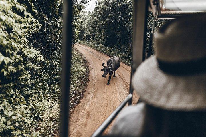 2 Days Tour to Galle & Yala National Park From Colombo