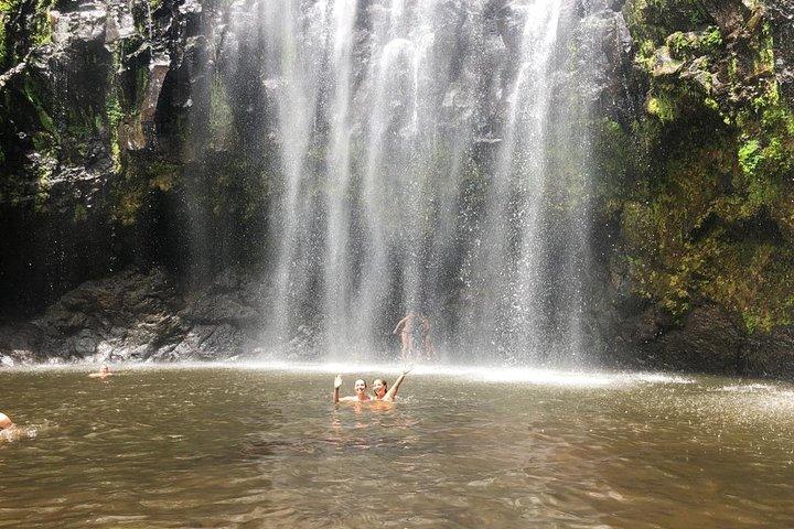 Materuni Waterfalls, Coffee & Kikuletwa Hot Spring Day Tour
